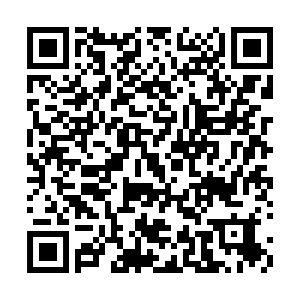 QR Code For Brochure